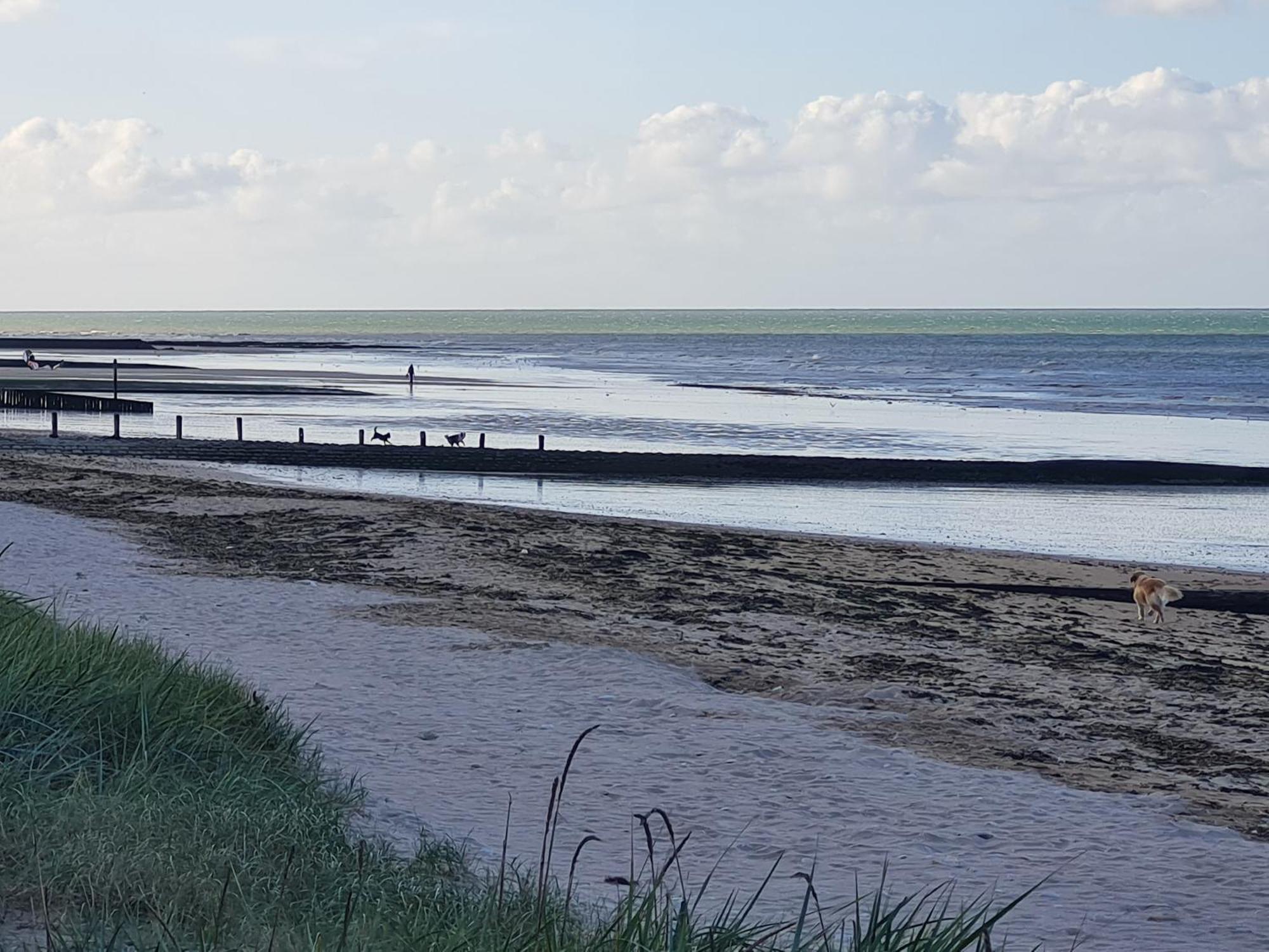 Les Pieds Dans L'Eau - Acces Direct A La Plage ベルニエール・シュル・メール エクステリア 写真